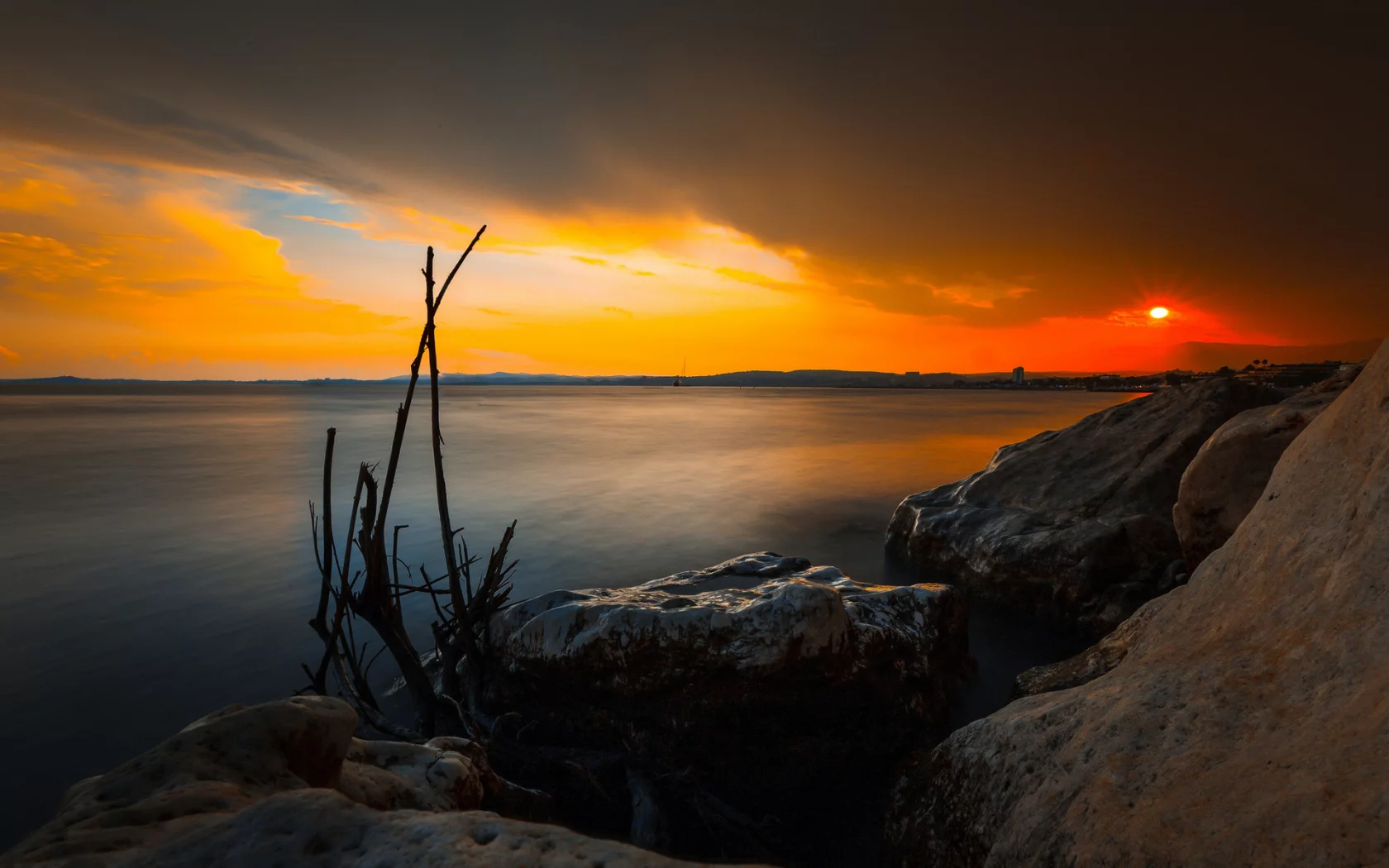 море, берег, ствол дерева