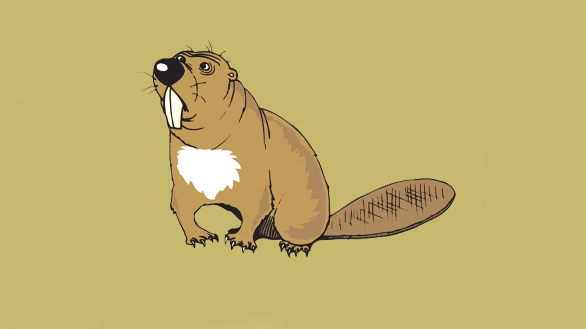 бобёр, арт, beaver