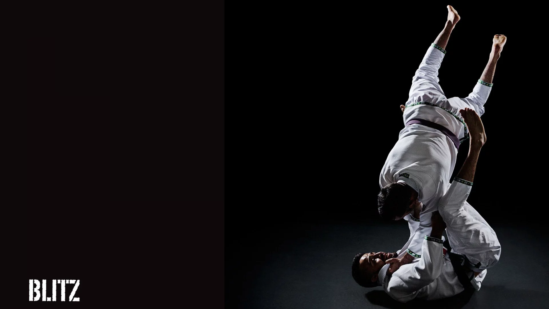 джиу джицу, ju jitsu, борьба, единоборство