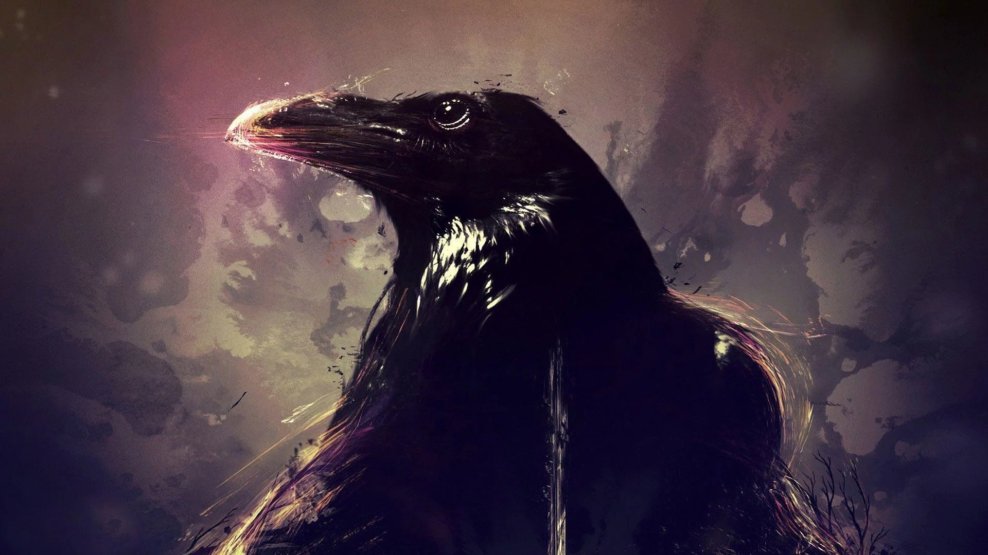 птица, ворон, crows