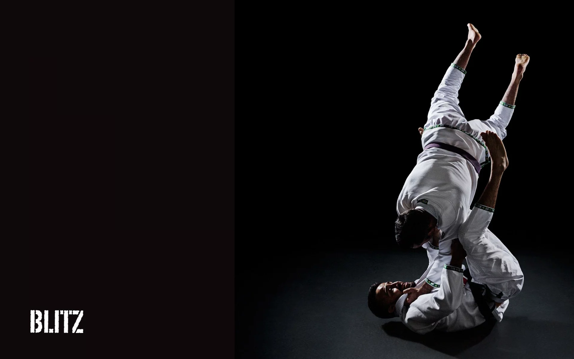 джиу джицу, ju jitsu, борьба, единоборство