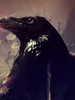 птица, ворон, crows