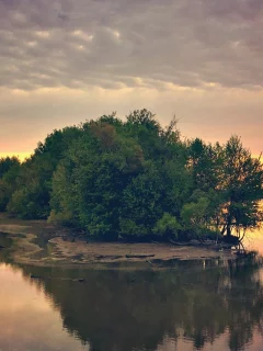 река, берег, деревья