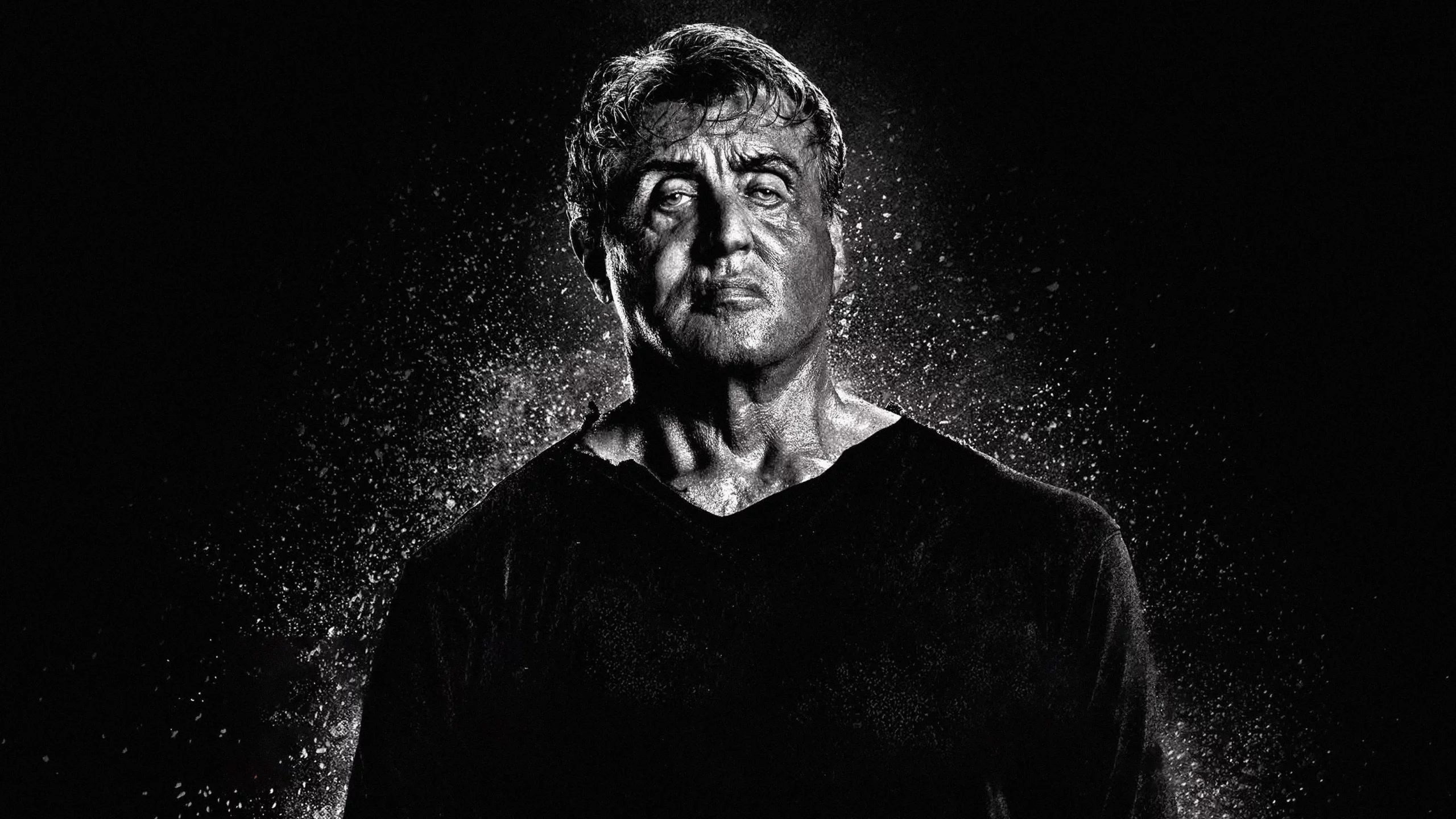 актёр, сильвестр, сталлоне, sylvester stallone