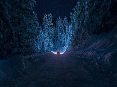 природа, лес, зима, дорога, ночь, автомобиль