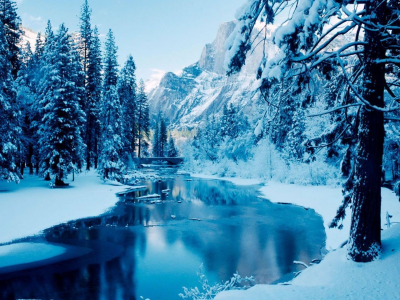 природа, лес, зима, снег, река