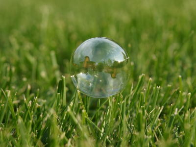 мыльный пузырь, трава