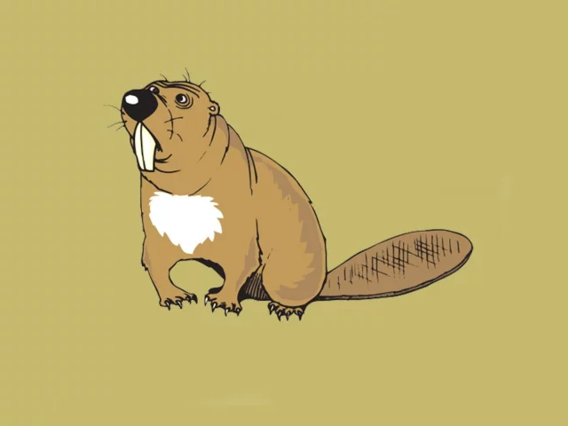 бобёр, арт, beaver
