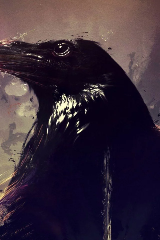 птица, ворон, crows