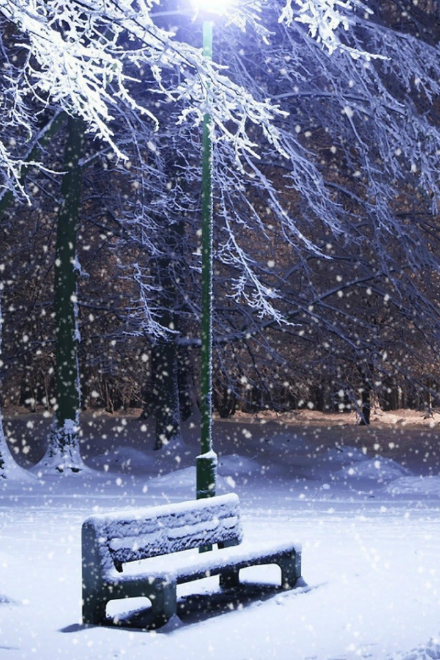 парк, ночь, зима, снег, скамейка