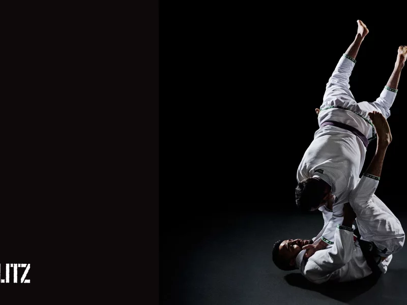 джиу джицу, ju jitsu, борьба, единоборство
