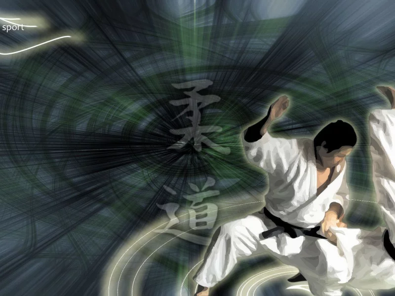 спорт, единоборство, борьба, дзю до, judo