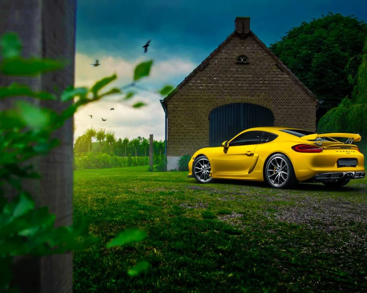 auto, porsche cayman gt4