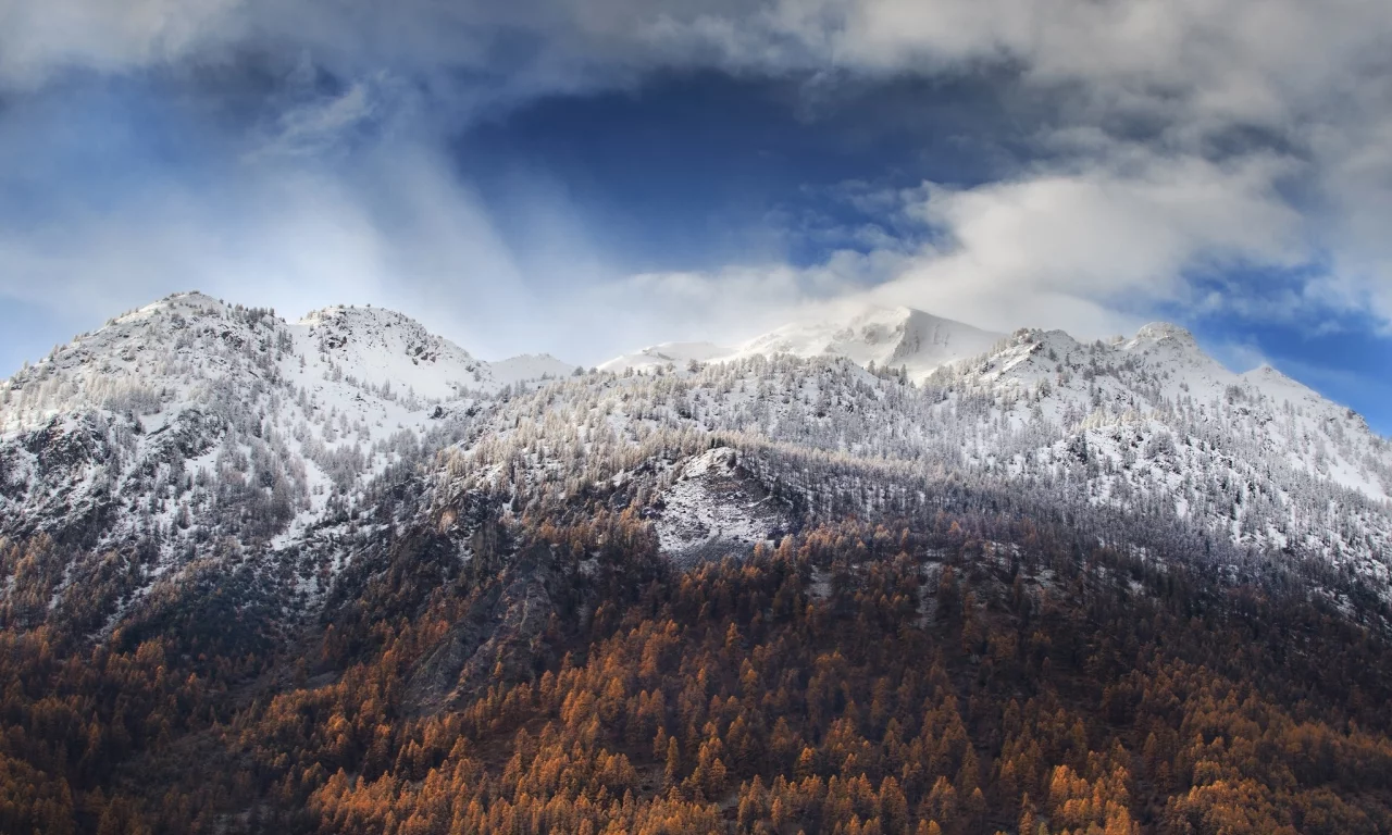 пейзаж, природа, красота