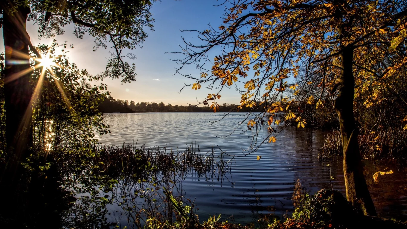 пейзаж, природа, красота