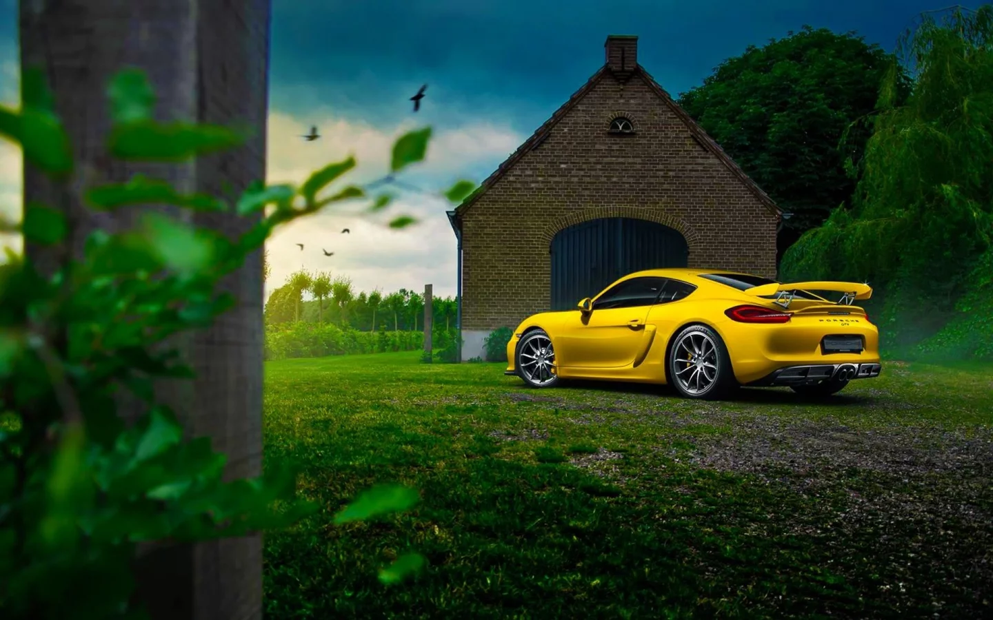 auto, porsche cayman gt4