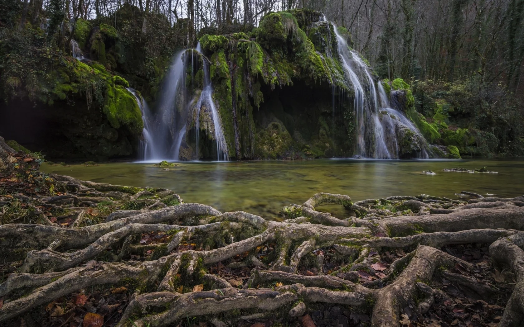 пейзаж, природа, красота