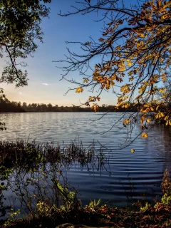 пейзаж, природа, красота