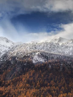 пейзаж, природа, красота