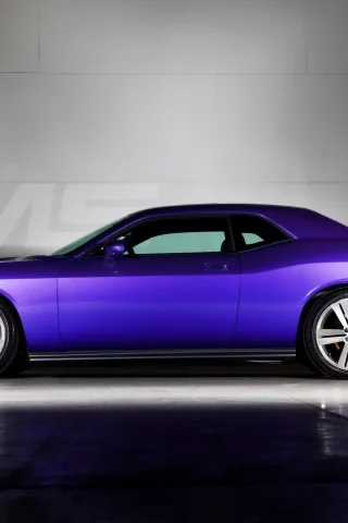 auto, dodge