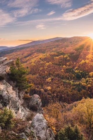 пейзаж, природа, красота
