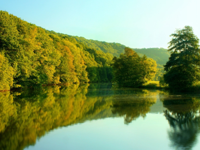 природа, лес, озеро, осень