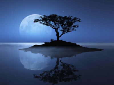 пейзаж, луна, ночь, дерево