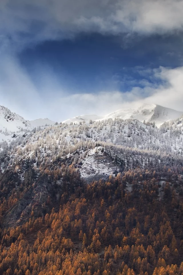 пейзаж, природа, красота