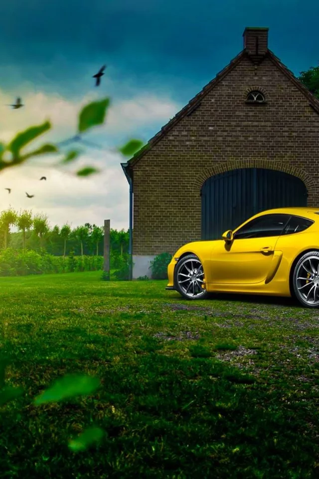 auto, porsche cayman gt4