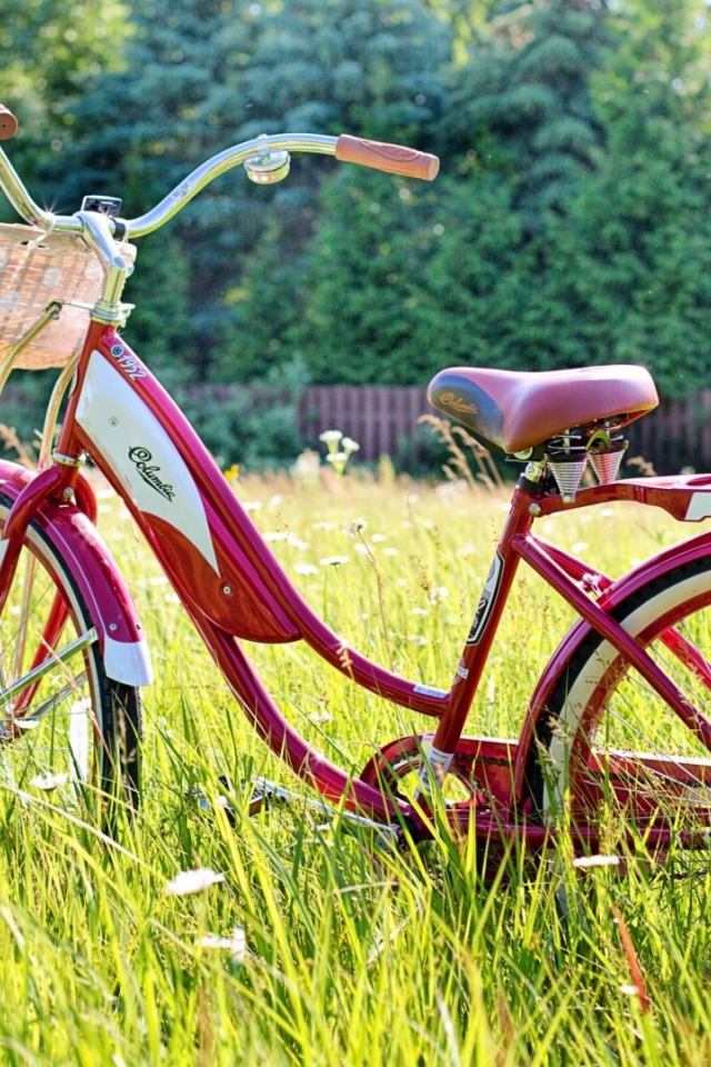 трава зелёная, лето, велосипед
