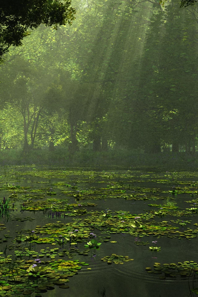 лес, деревья, озеро