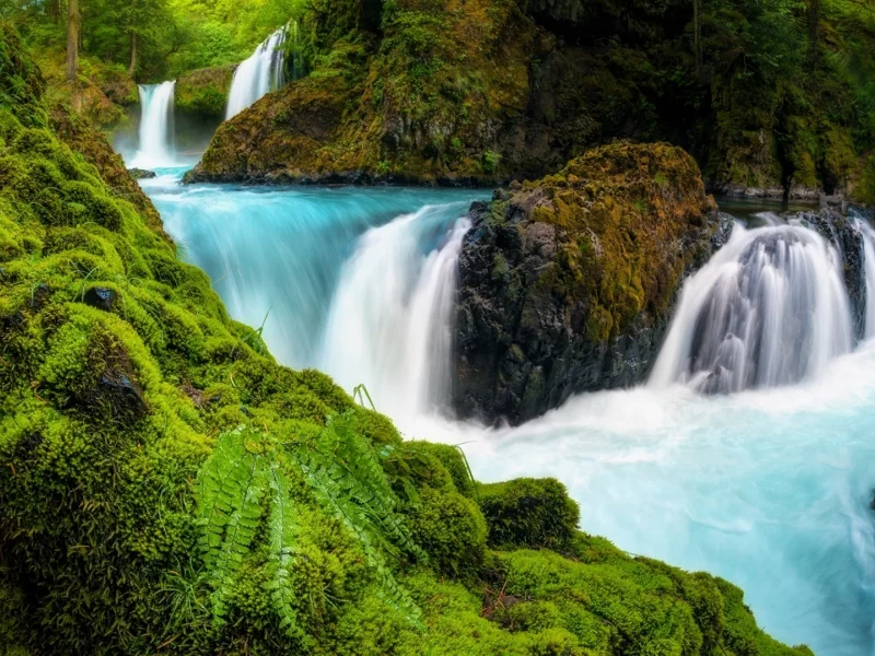 природа, лес, водопад