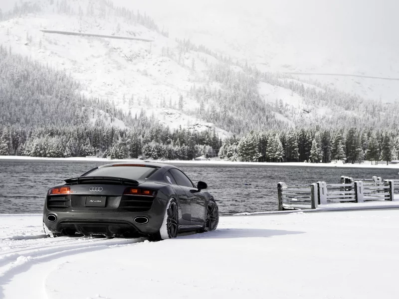 auto, audi r8