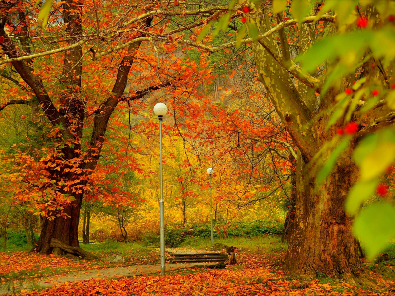 парк, фонари, осень, листопад