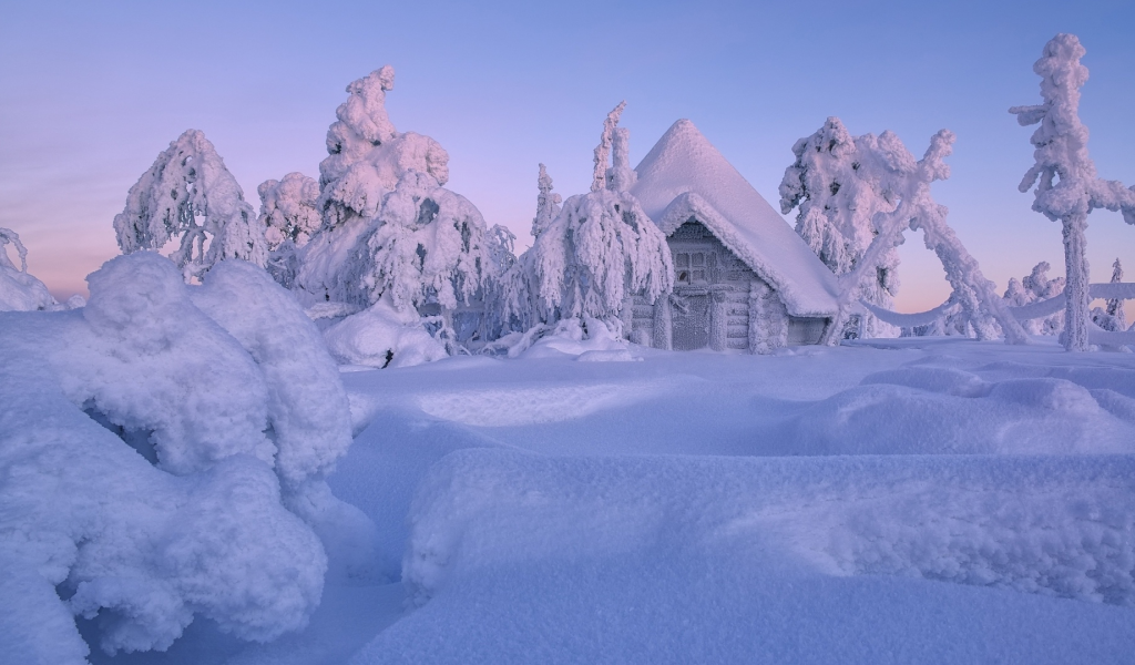 зима, снег, деревья, дом