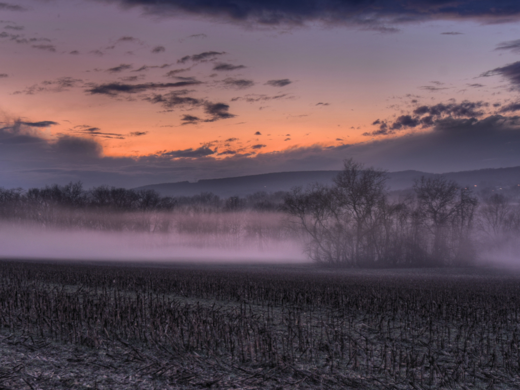 поле, туман, закат