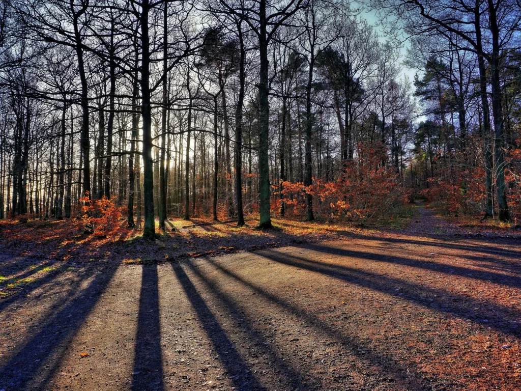 пейзаж, природа, красота
