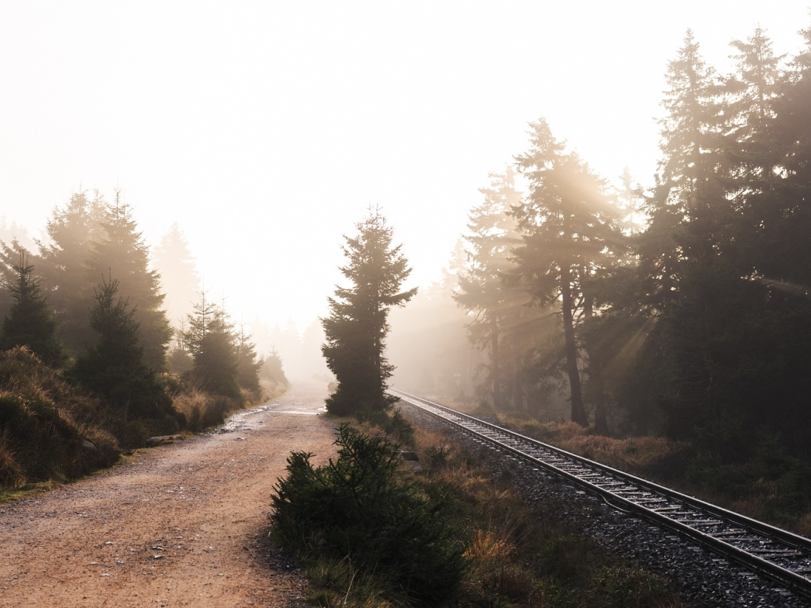 железная дорога, рельсы, деревья, туман