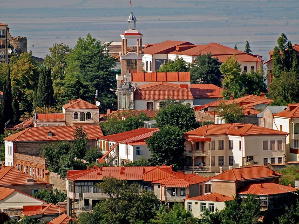 кахети, грузия, сигнахи