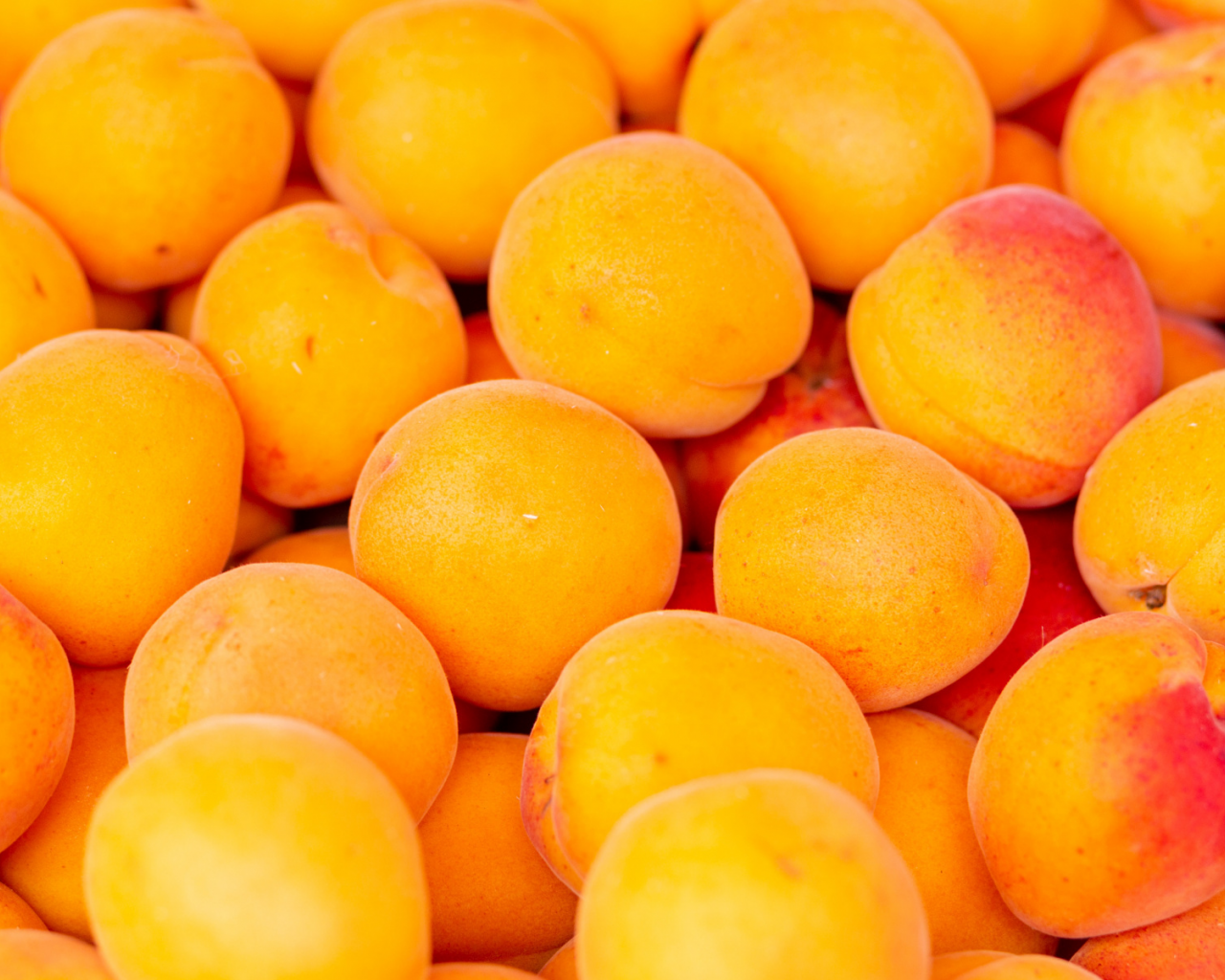 абрикосы, фрукты