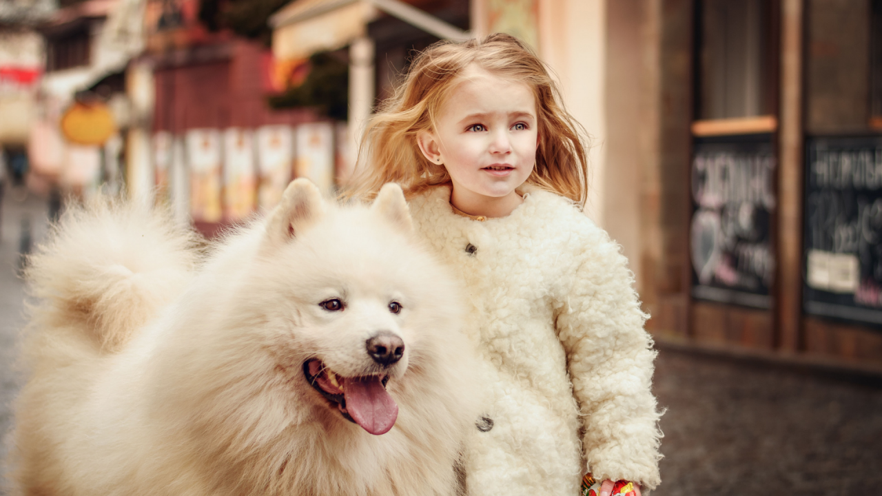 девочка маленькая, с собакой