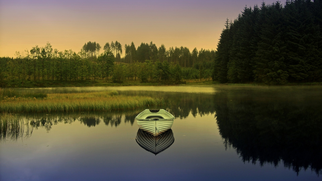 озеро, лодка, лес
