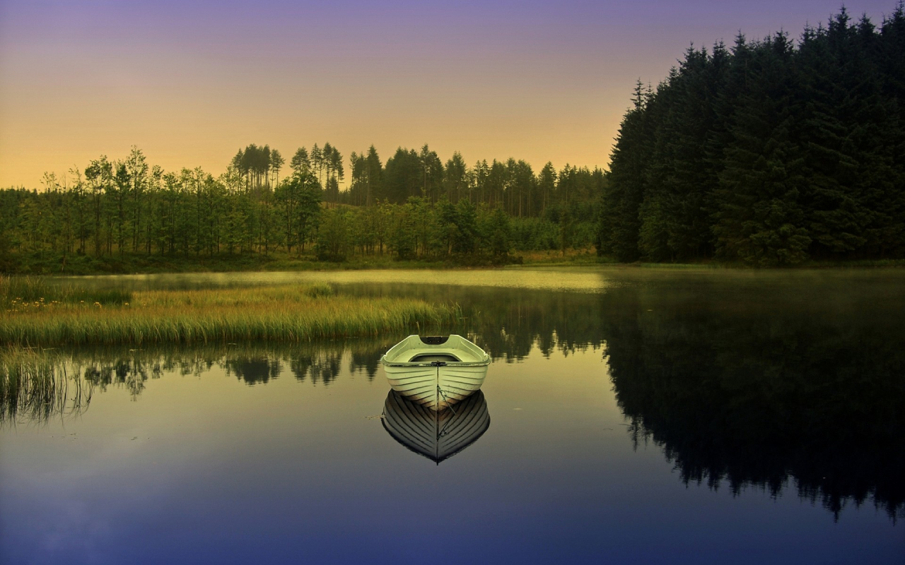 озеро, лодка, лес
