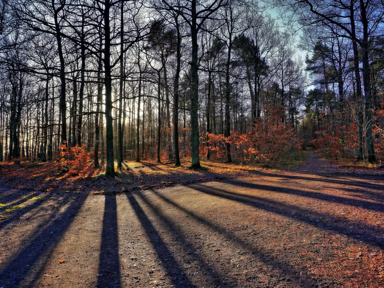 пейзаж, природа, красота