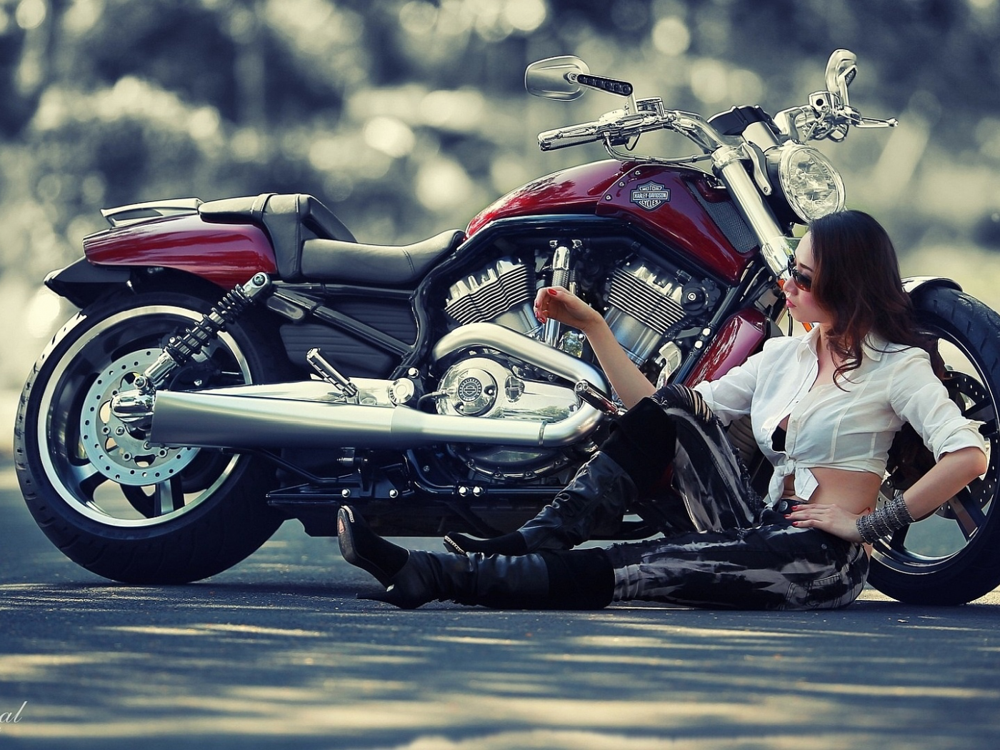 мотоцикл harley davidson, девушка