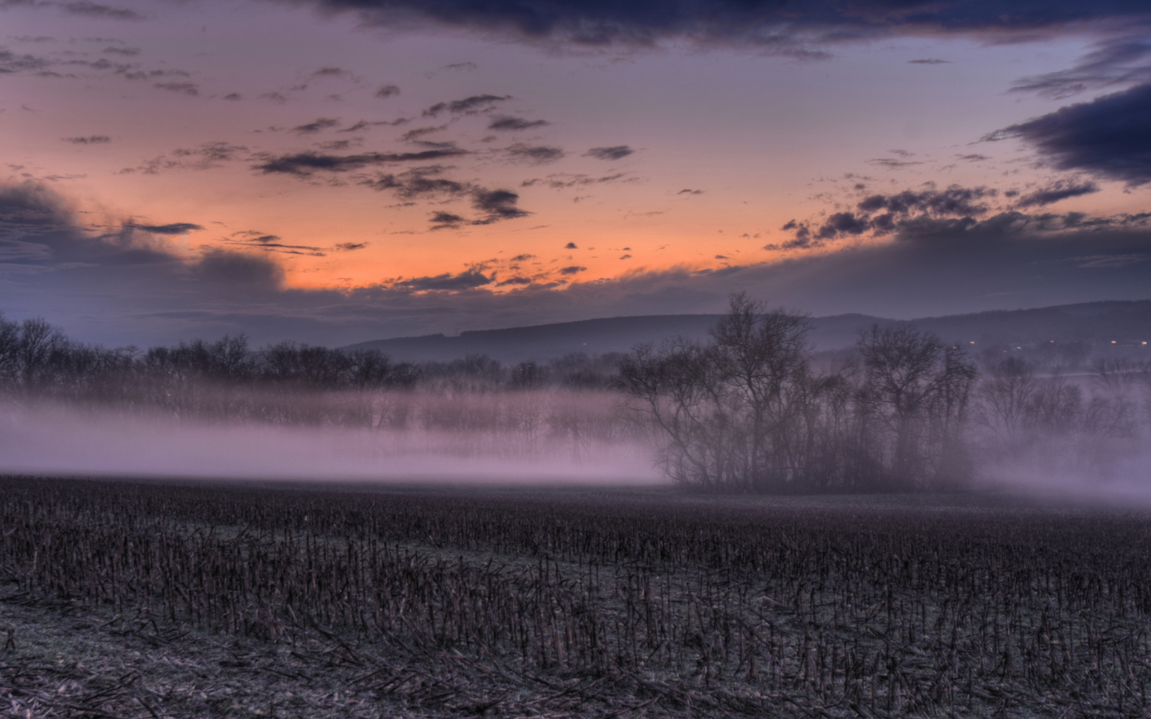 поле, туман, закат