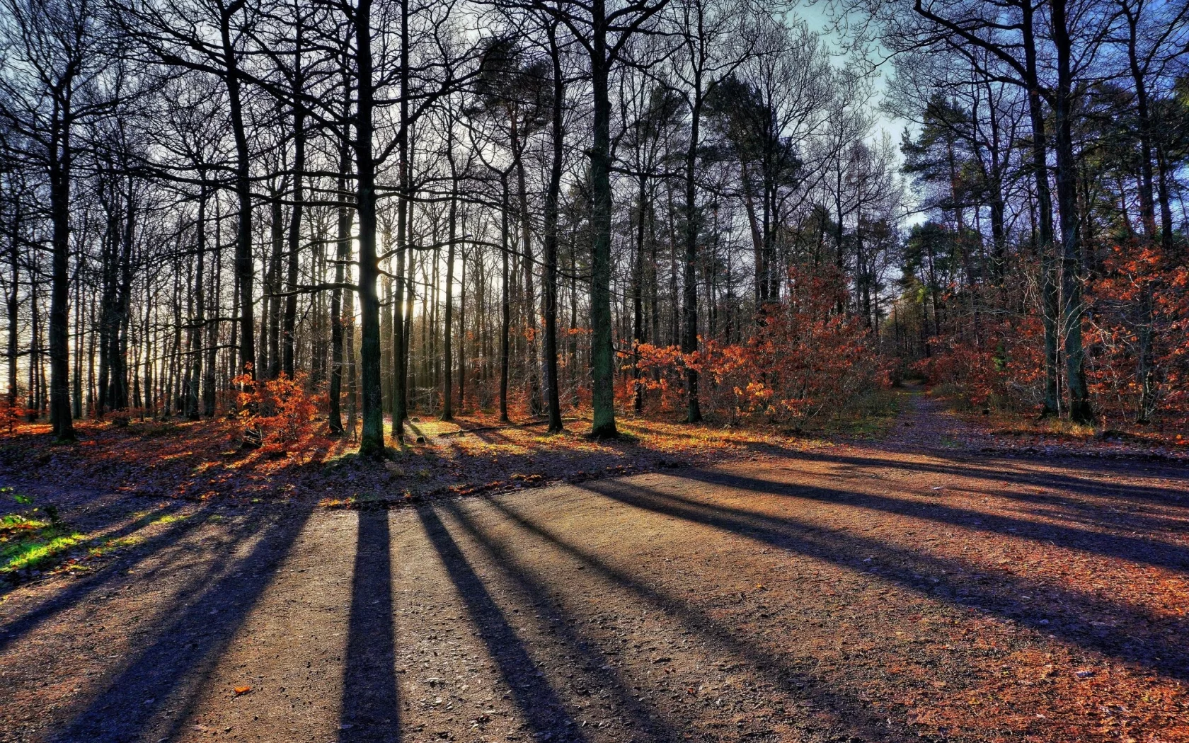 пейзаж, природа, красота