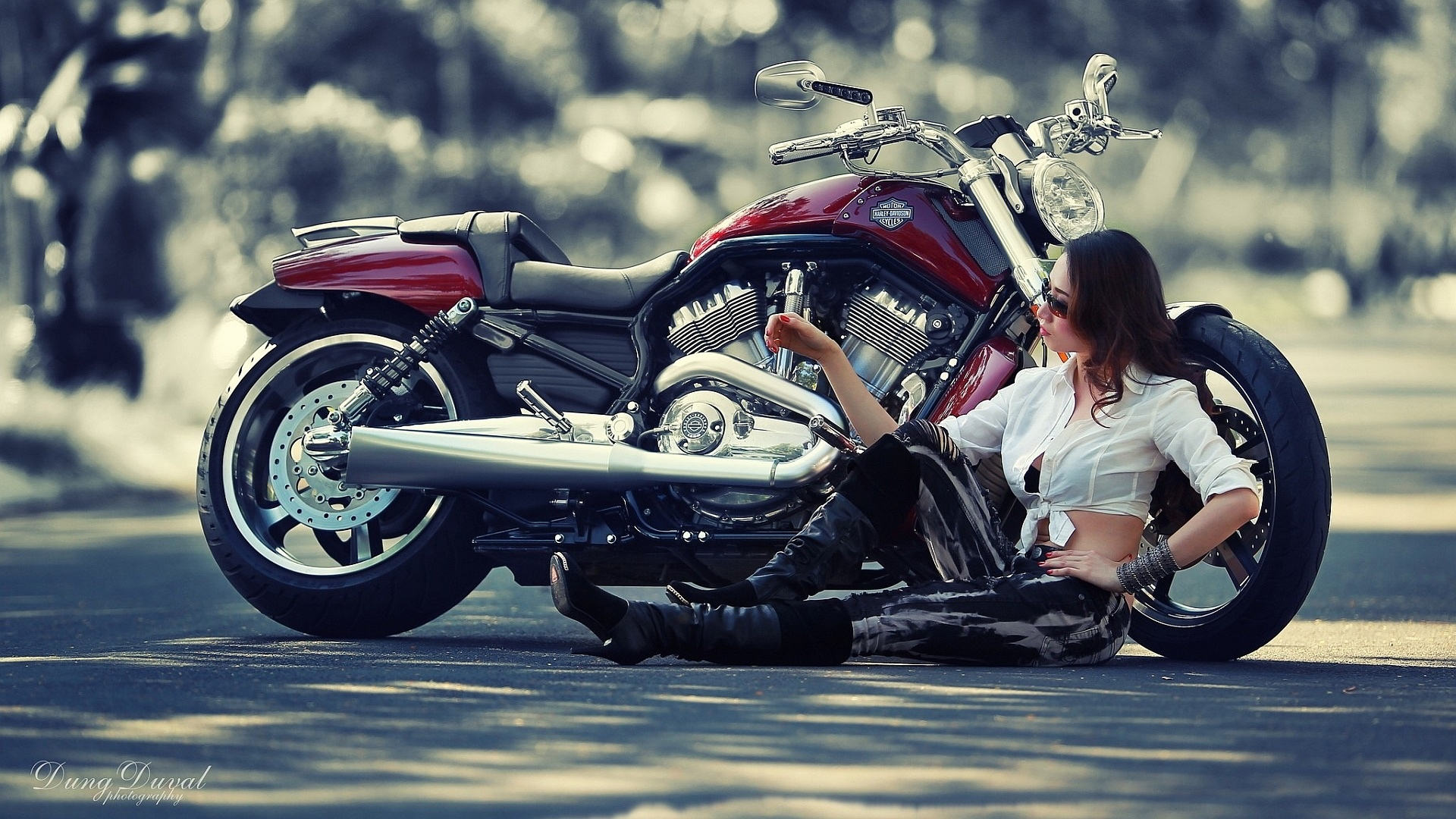 мотоцикл harley davidson, девушка