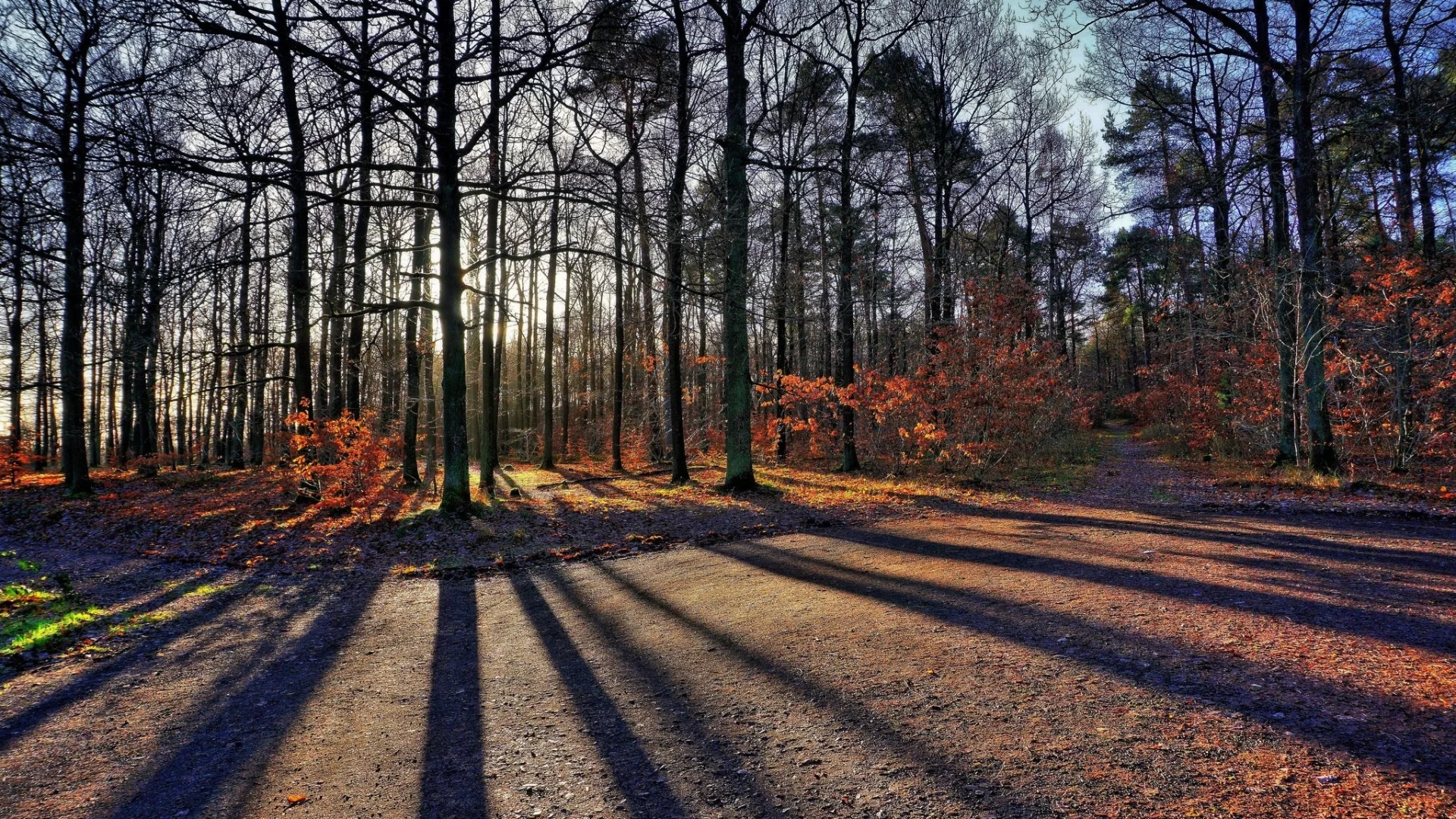 пейзаж, природа, красота