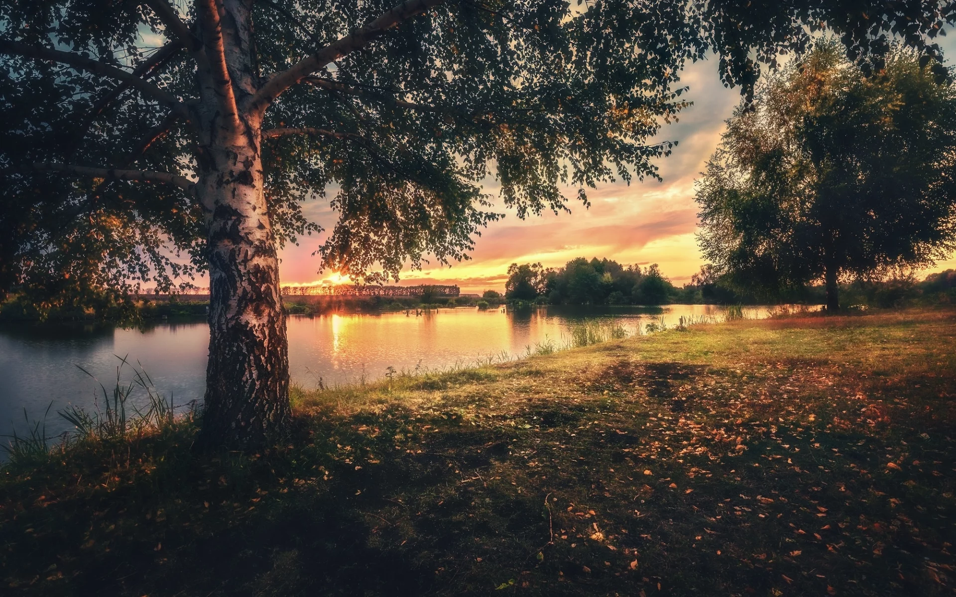 озеро, берег, деревья, закат